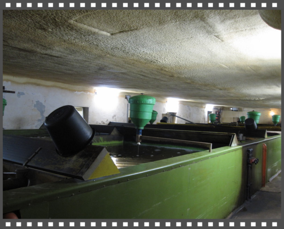 Decke einer Fischzucht dämmen mit Poylurethan Schaum