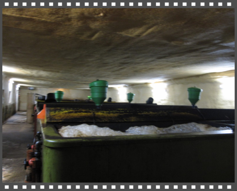 Dämmung eines Raumes für die Fischzucht mit Polyurethan Spritzschaum